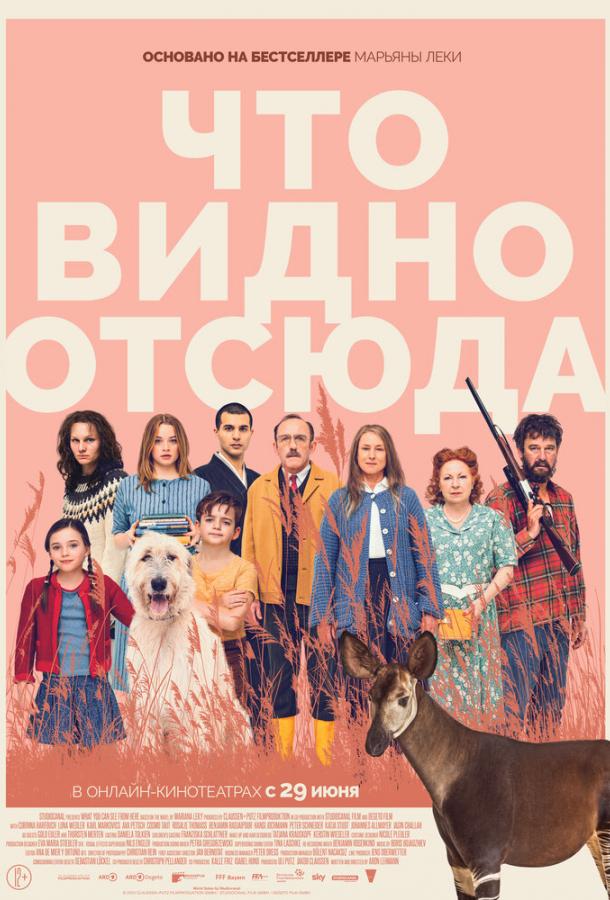 Что видно отсюда 2022 Смотреть Онлайн Бесплатно в Хорошем Качестве